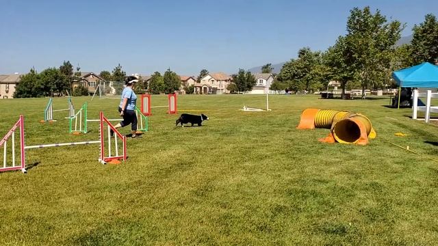 20200614_Tek_P3Jmprs _Rd 2 USDAA@home смотреть онлайн