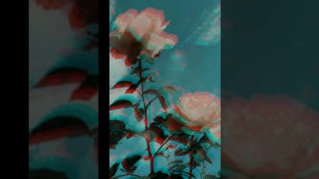 Дура потому что (Top music 🎵) смотреть онлайн