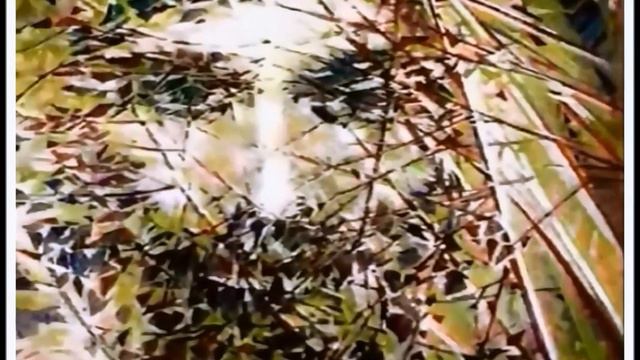 БЕЛАЯ БЕРЁЗА КАВЕР ВЕРСИЯ К 2000 УСКисп А Лебедев Зап 2000 г смотреть онлайн