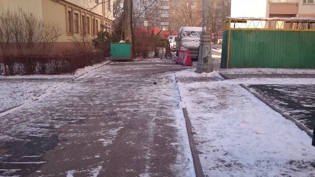 Скворец зимой в Москве! Не улетел... смотреть онлайн