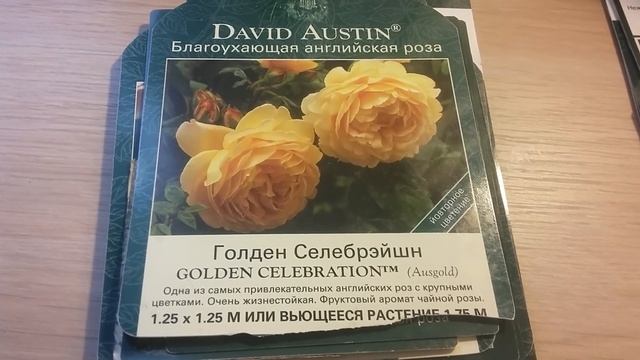 Обзор Остинок. Продолжение. смотреть онлайн