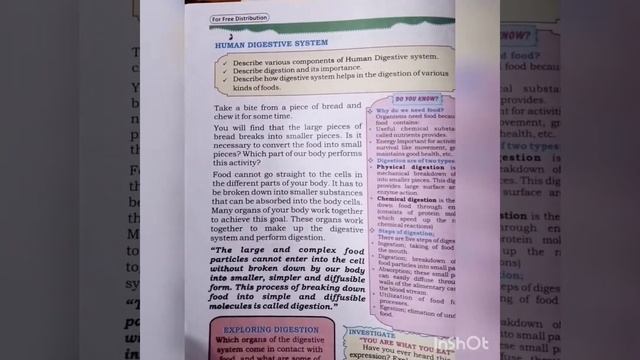 Powerful Function of Gastrointestinal Tract(G.I.T)|Chemical&Physical Digestion|Student Corner|A-1 смотреть онлайн