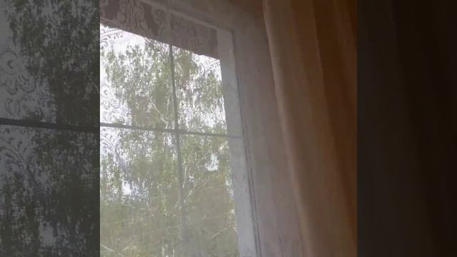 Рулонная штора и тюль. смотреть онлайн