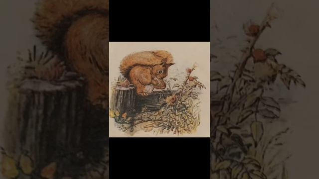 3 Read Aloud Stories By Beatrix Potter