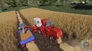 ПОМОГАЕМ СОСЕДУ УБРАТЬ УРОЖАЙ ПШЕНИЦЫ НА ПОЛЕ! КУПИЛИ НОВЫЙ КОМБАЙН! Farming Simulator 19