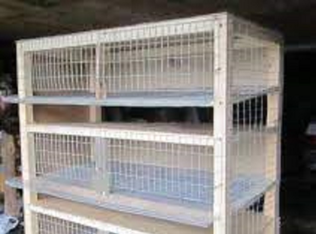 Как сделать клетку для перепелов своими руками Мой вариант Жизнь в деревне смотреть онлайн