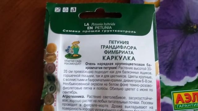 Петуния.Обзор.Пора сеять семена. смотреть онлайн