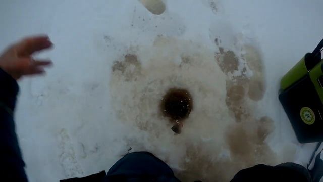 оз.Вавчужское 14.12.2019. В поисках рыбки смотреть онлайн