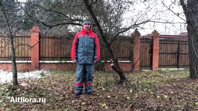 Зачем нужна обрезка плодовых деревьев? смотреть онлайн