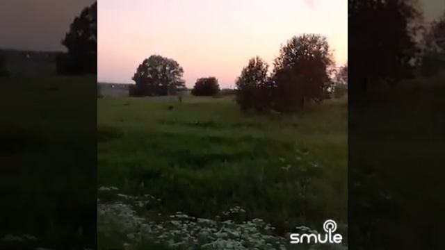 Стоит берёза у опушки