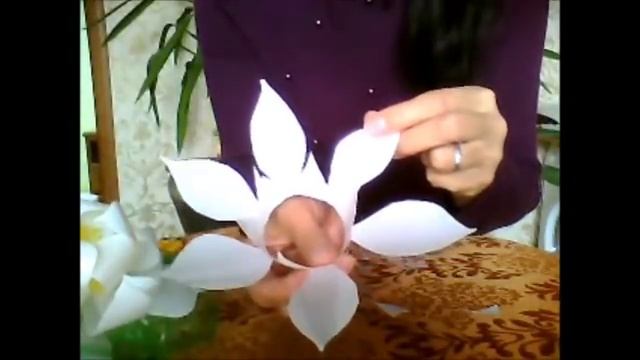 1.1 Цветы из бутылок! flowers from plastic!!! Делаем вместе. смотреть онлайн
