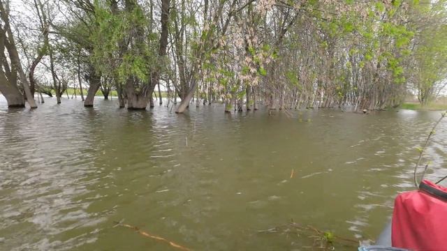 Сплав на байдарке с детьми. Май 2023. Астрахань смотреть онлайн