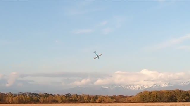 Авария Calmato 8 окт2023 смотреть онлайн