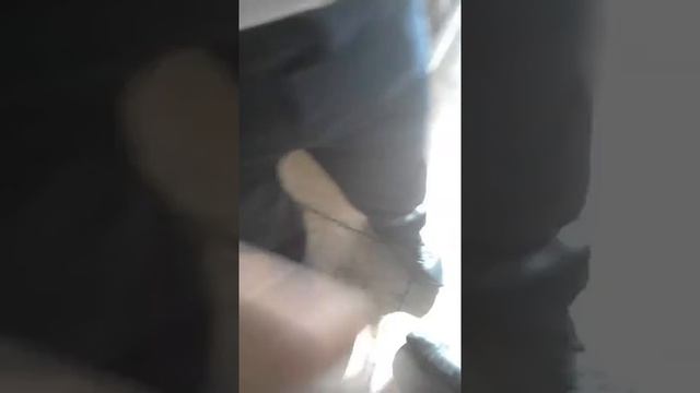 Укусил паук.ТАРАНТУЛА смотреть онлайн