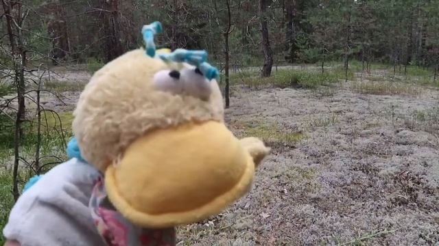 Мезозойский лес, бобровые зубы и хищные водоросли в Керженском заповеднике смотреть онлайн