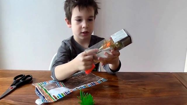 распаковка игрушек: гигантская сколопендра игрушка и морские животные смотреть онлайн