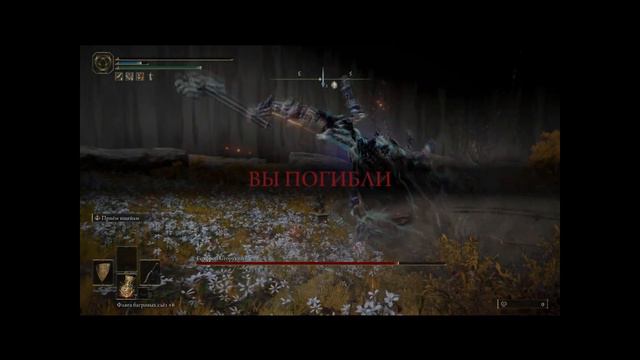 Elden ring. Годфрой сторукий. смотреть онлайн