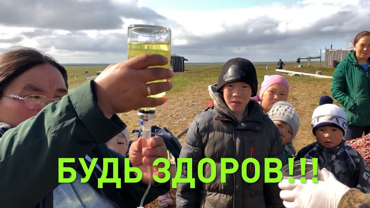 ВАКЦИНАЦИЯ ОЛЕНЕЙ смотреть онлайн