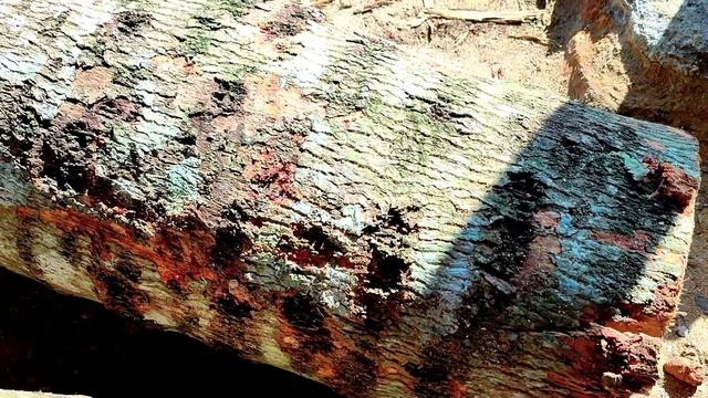 gara gara kayu ini saya hampir bangkrut dan di titik inilah yang jadi penyebabnya смотреть онлайн