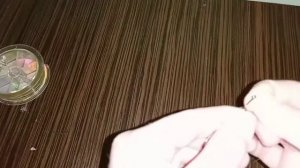 учимся ловить щуку на ДРОП ШОТ!!!!!!