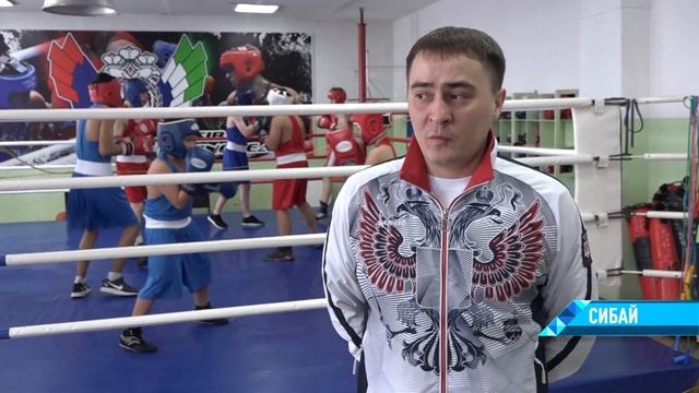Юные боксёры ДЮСШ показывают высокие результаты на региональном уровне. смотреть онлайн