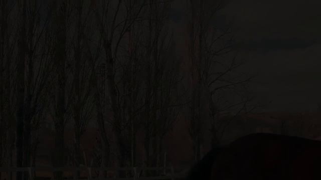 Линда Хаззард: эксперт по лечебному голоданию смотреть онлайн