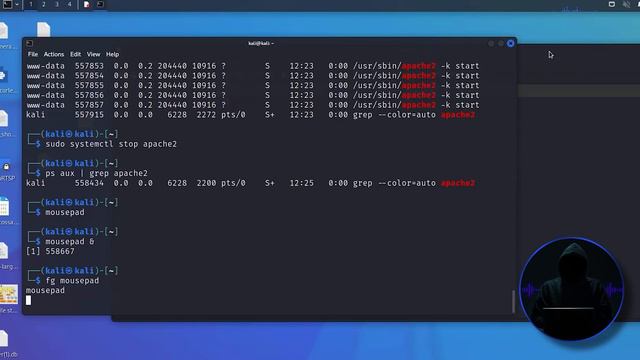 Linux for Hackers: LINUX commands you need to know (with OTW) // Ep 6 смотреть онлайн