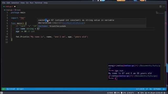 Variables & Data Types - Golang Tutorial Ep2. смотреть онлайн