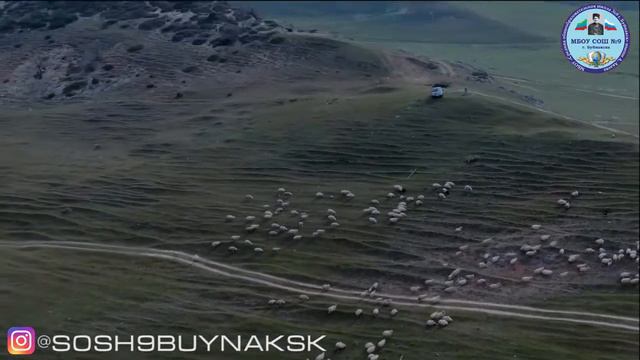 Ролик про Дагестан 2019 смотреть онлайн