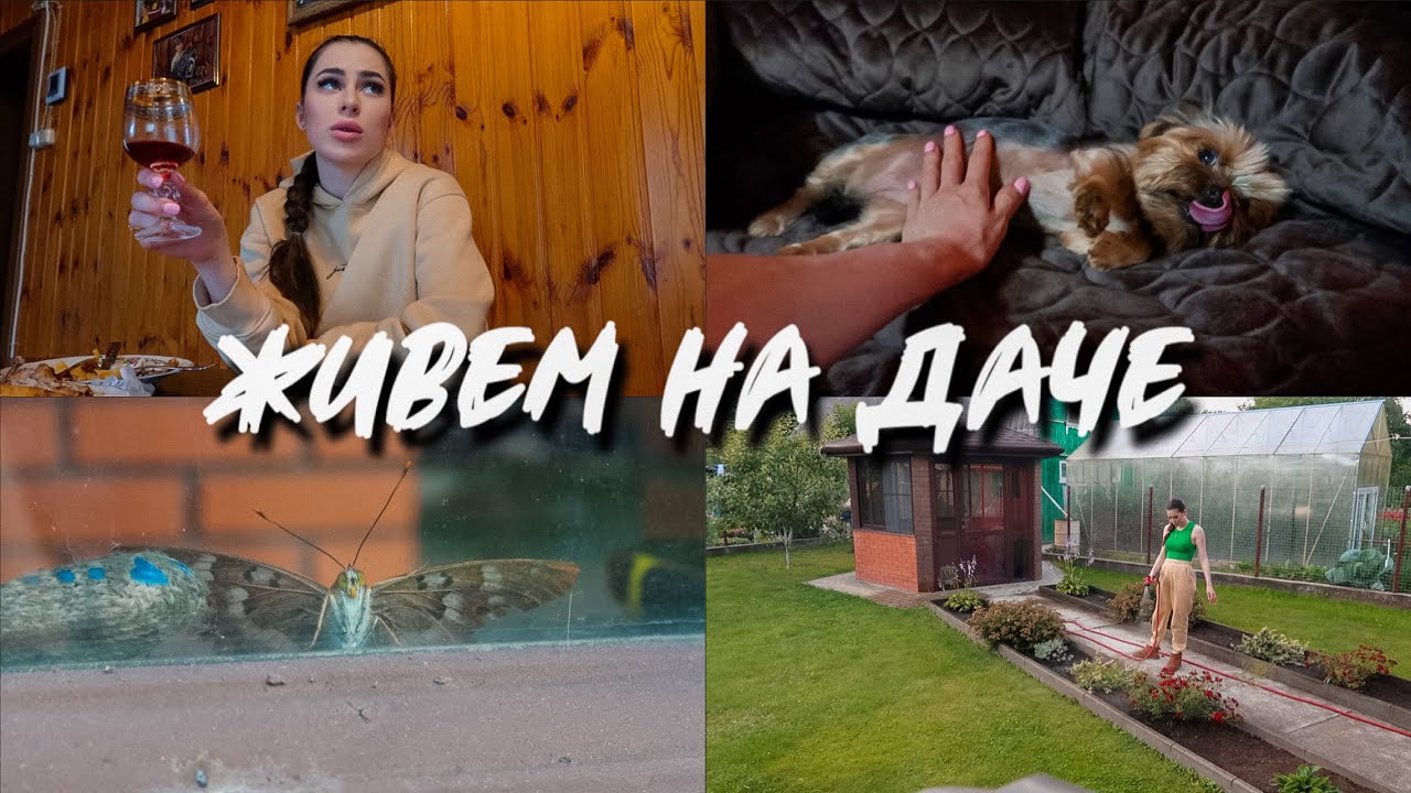 #ЖивемНаДаче 18 || РАЗМЫШЛЕНИЯ ОБ ОТНОШЕНИЯХ | РАЗБИРАЕМСЯ НА КУХНЕ смотреть онлайн