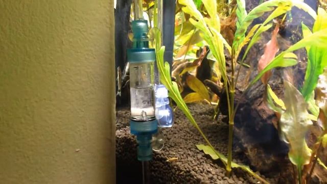 Week 7 + Phyton Git Review смотреть онлайн