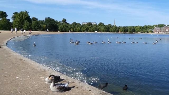 Kensington Gardens, The Palace & Princess Diana. смотреть онлайн