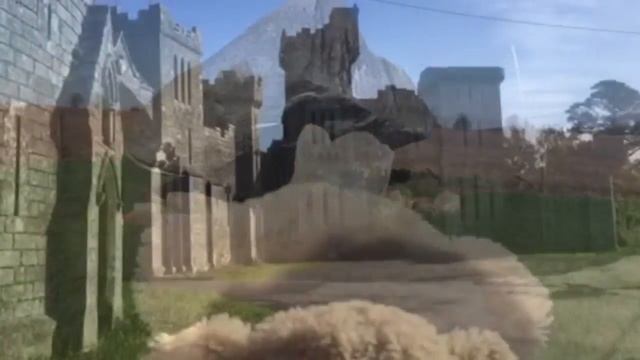 Visit Carlow смотреть онлайн