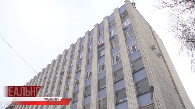 Без намордника, ошейника и поводка - никуда смотреть онлайн