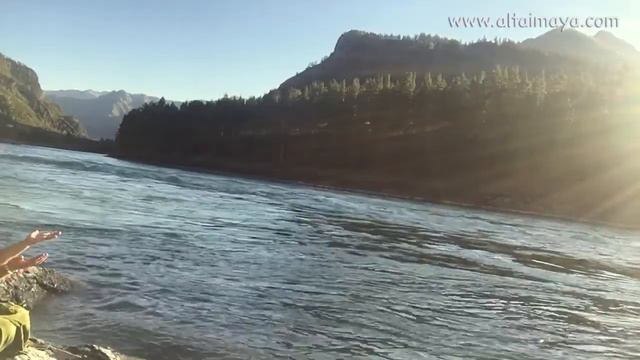 В чем священная сила великого Алтая?! смотреть онлайн