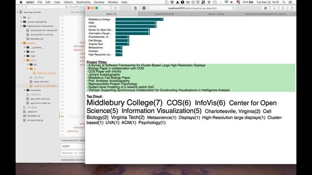 Information Visualization with Elasticsearch, D3, and Tornado смотреть онлайн