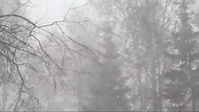 Первый снег в Екатеринбурге