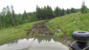 Тайга, тайга дороги нет.