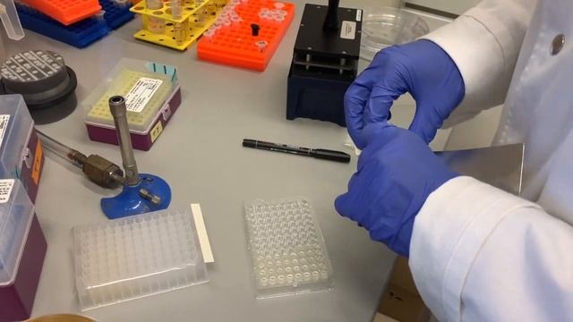 EPFL iGEM ("ViTest") OnePot Tutorial смотреть онлайн