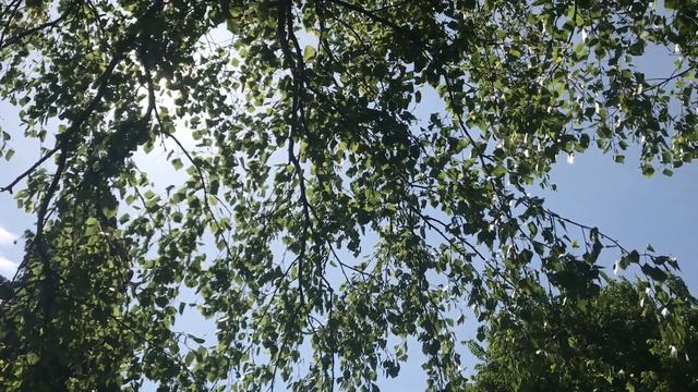 The Aramaic Prayer of Jesus ("The Lord's Prayer") смотреть онлайн