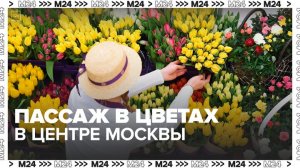 Ярмарка "Пассаж в цветах" в центре Москвы продлится до 9 марта - Москва 24