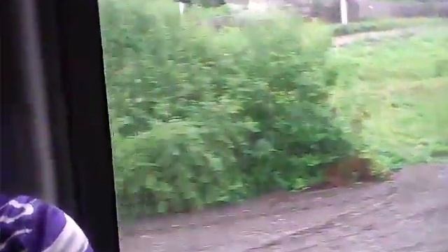 О.п. Дачная смотреть онлайн