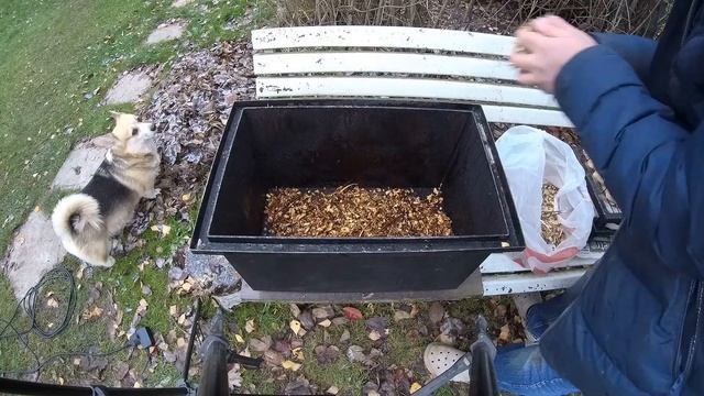 ГОРЯЧЕЕ КОПЧЕНИЕ ДОМАШНЕЙ ПТИЦЫ - Мясо в домашних условиях #мясо#рецепты смотреть онлайн