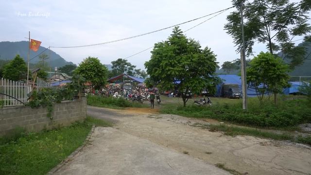 Harvesting Turmeric Goes To Market Sell, Fertilize Vegetables | Tiểu Vân Daily Life