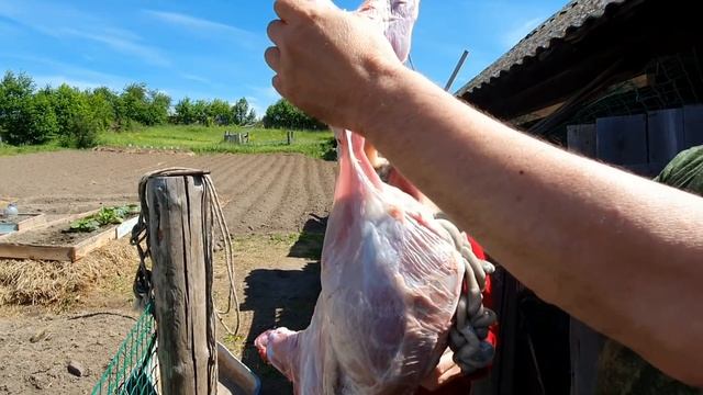 Разделка туши козла . По - татарски:) // Юлия Артуровна