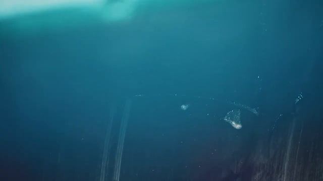 Оригинальное лобовое стекло против неоригинального смотреть онлайн