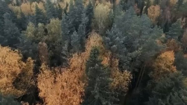 FILM SISTERS' STRUGGLE FOR ONE MAN'S HEART! Taste of Happiness! Russian movie with English subtitle