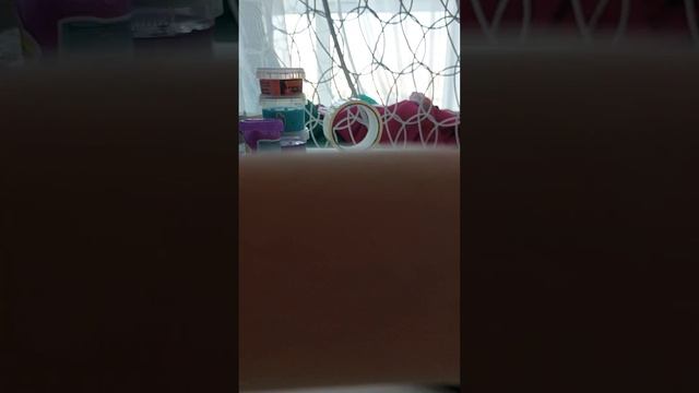 Нове стикеры (предупреждение видео для тех кто не умеет рисовать)ОСТАЛЬНЫЕ ПРОЛИСТЫВАЙТЕ!(без обид) смотреть онлайн