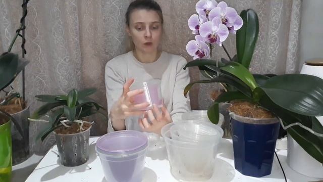 Какой горшок лучше для орхидеи? смотреть онлайн