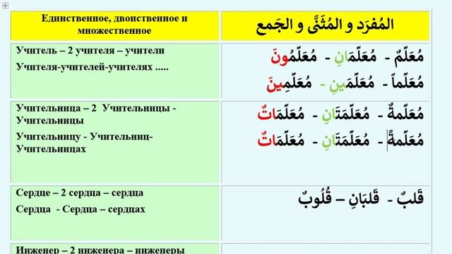 Арабский язык с носителем - 31 (1) - Единственное, дв-ное и множ-ное المُفرَد و المُثَنَّى و الجَمع смотреть онлайн